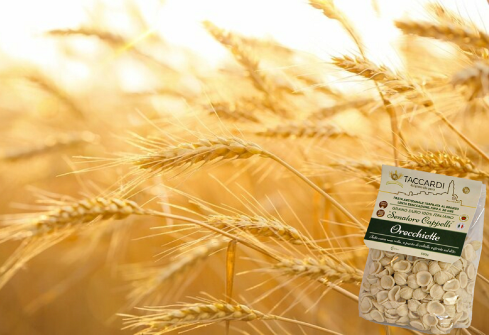 ARTISAN PASTA FROM MATERA